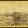 Stereoscopic views of the Mill River (Mass.) Flood, May, 1874.