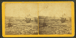 Stereoscopic views of the Mill River (Mass.) Flood, May, 1874.