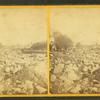 Stereoscopic views of the Mill River (Mass.) Flood, May, 1874.