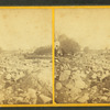 Stereoscopic views of the Mill River (Mass.) Flood, May, 1874.