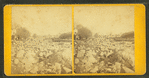 Stereoscopic views of the Mill River (Mass.) Flood, May, 1874.