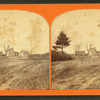 Seth Sumner's house.