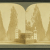 A beautiful avenue of Poplars, Lenox, Mass.