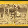 The hermit and visitors.