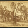 Main street, looking south.