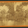 Hawkin's bridge.