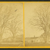 View of a large tree in front of a barn, possibly "the big elm".