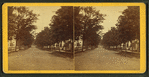 View of a tree-lined street.