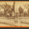 View of a residential street with houses, trees, and a buggy.