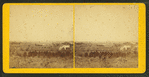 View of a farm and field.