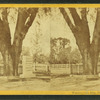 Washington elm, Cambridge.