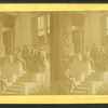 Prof. Agassiz, Cambridge, Mass.