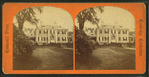 Longfellow's house, head-qrs. of Washington.