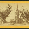 Washington elm.