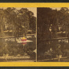 The lake, Mt. Auburn cemetery.