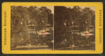The lake, Mt. Auburn cemetery.
