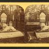 Perkins dog, Mt. Auburn.