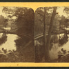 Mt. Auburn lake.