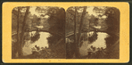 Mt. Auburn lake.