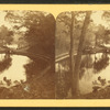 Mt. Auburn lake, Cambridge, Mass.