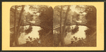 Mt. Auburn lake, Cambridge, Mass.