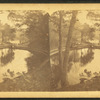 Mt. Auburn lake.