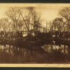 Forest pond.