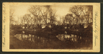 Forest pond.