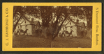 Home of Louisa Alcott, Concord.