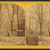 Graves of revolutionary patriots