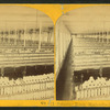 Spinning room, mechanics mill.