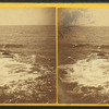 Instantaneous marine view.