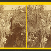 Trap rock chasm.