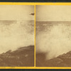 Instantaneous marine view.