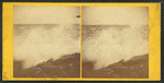 Instantaneous marine view.