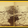 Marine study.