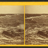 Marine study.