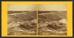 Marine study.