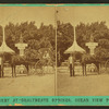 Scenery at Chalybeate Springs, ocean point view.
