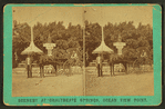 Scenery at Chalybeate Springs, ocean point view.