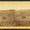 Group of people on the shore.