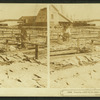 Preparing codfish for the market, Gloucester, Mass.
