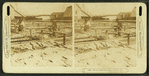 Preparing codfish for the market, Gloucester, Mass.