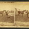 Man standing next to a horse wtih a dog at his feet.