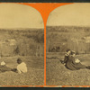 Fernside Farm.