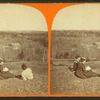 Fernside Farm