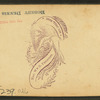 [An interior view of a church on its twentieth anniversary in 1879 showing decorations.]