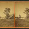 View of trees and the river with city beyond.