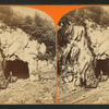 Entrance to tunnel, east end.