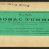 East end of tunnel, showing bed of road.